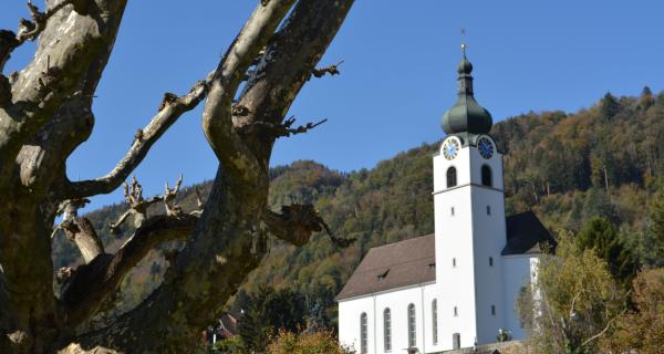 Pfarrkirche Balgach Pfarrkirche Balgach