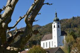 Pfarrkirche Balgach Pfarrkirche Balgach